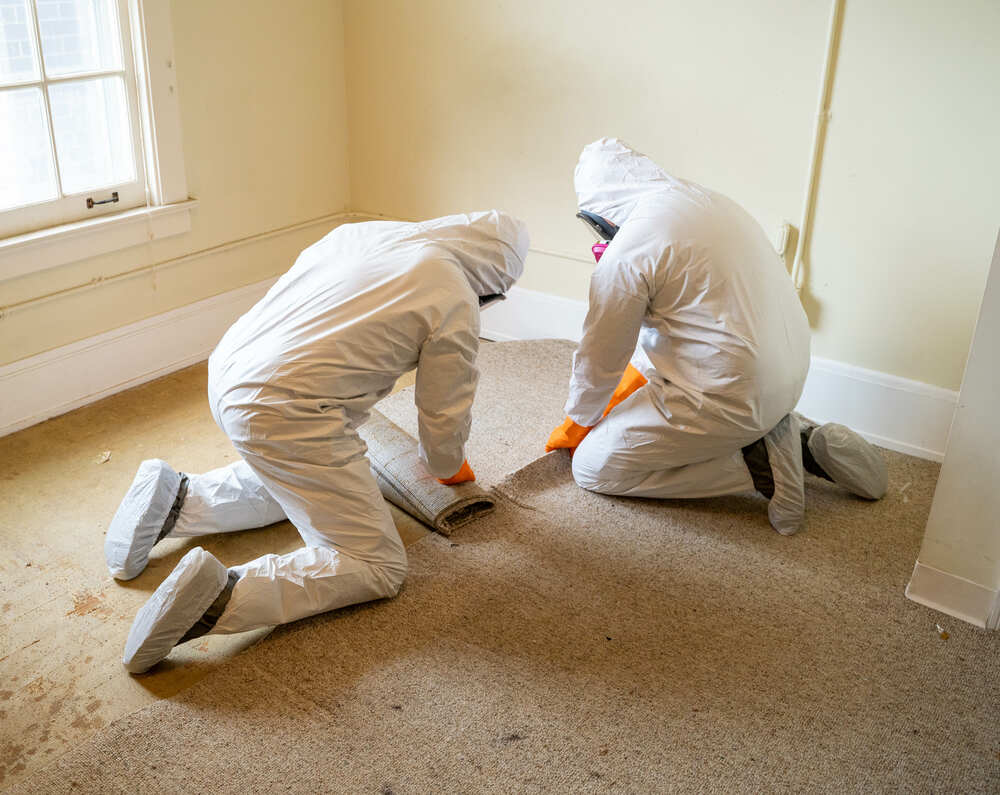 Asbestos Removal Service